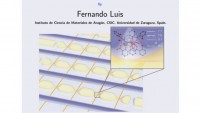 Quantum Computing with Magnetic Molecules