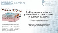 Shaking Magnons: Active and Passive Role of Acoustic Phonons in Quantum Magnonics